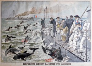 Cacciatorpediniere francesi che cacciano i delfini, 1903 da Unbekannt