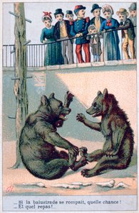 Cartolina zoologica francese, XIX secolo