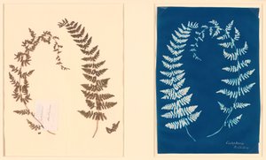 Dal Hatton Fern Album da Unbekannt