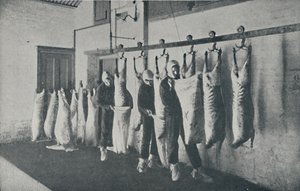 Carne Congelata, 1910 da Unbekannt