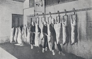 Carne congelata, 1923 da Unbekannt