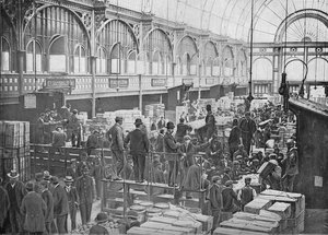 Aste di frutta al mercato di Covent Garden, Londra, c1901 da Unbekannt