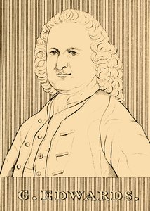 G. Edwards, 1694-1773, 1830 da Unbekannt
