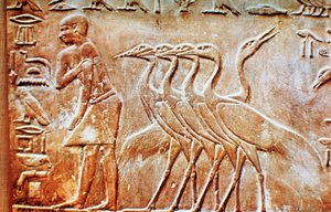 Oche, rilievo murale dalla tomba di Ptahhotep, Saqqara, Egitto, XXIV secolo a.C.
