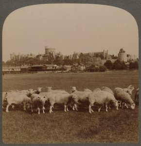 Vista generale del Castello di Windsor, Inghilterra, 1896 da Unbekannt