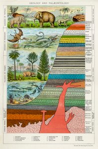Geologia e Paleontologia, c1880 da Unbekannt