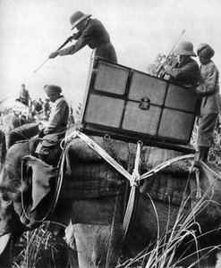 Giorgio V che caccia tigri, India, 1911, 1935 da Unbekannt