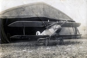Albatros DV tedesco, Souilly, Francia, 2 gennaio 1918 da Unbekannt