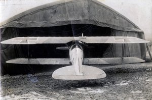 Albatros DV tedesco, Souilly, Francia, 2 gennaio 1918 da Unbekannt