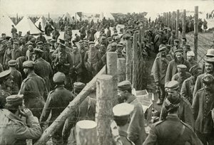 Prigionieri tedeschi che entrano nelle gabbie, 1919 da Unbekannt
