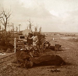 Veicolo trainato da cavalli tedesco, Tahure, Francia settentrionale, c. 1914-c. 1918 da Unbekannt