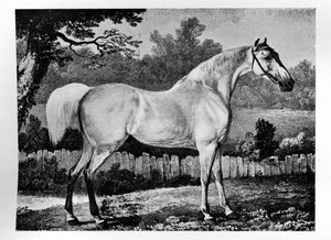 Gimcrack, 1760-1777, 1911 da Unbekannt