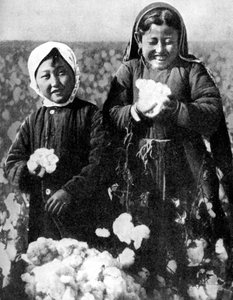 Ragazze in un campo di cotone, Kazakistan da Unbekannt