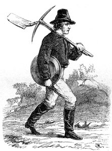 Minatore d
