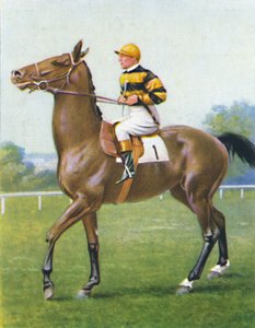 Sovrano d