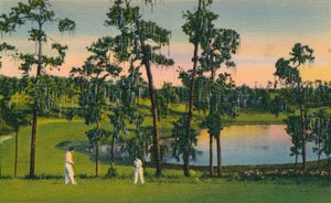 Golf, uno sport tutto l