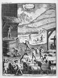 Vendemmia, 1775 da Unbekannt