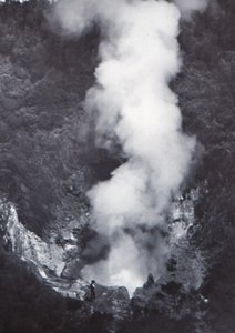 Grande geyser di Wairakei, fine XIX-inizio XX secolo