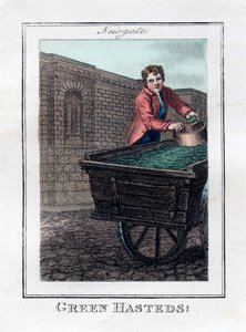 Green Hasteds, Newgate, Londra, 1805