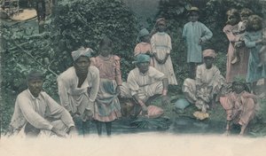 Saluti dalla Giamaica. Coolies che lavano, 1905