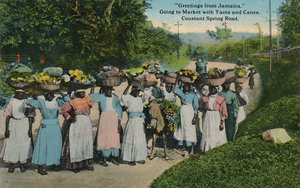Saluti dalla Giamaica. Andare al mercato con ignami e canne. Constant Spring Road, 1913 da Unbekannt