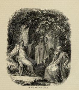 Gruppo di arcidruidi e druidi dal libro Old England: A Pictorial Museum, 1845 da Unbekannt