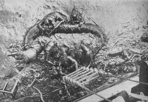 Affondamento della H.M.S. Glowworm da Unbekannt