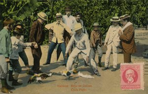 Habana: Rina de Gallos. Combattimento di galli, 1918