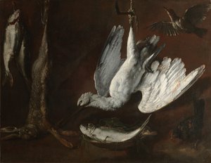 Lepre, Spatola e Pesce, metà del 1600 da Unbekannt