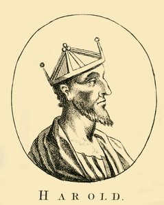 Harold, XVIII secolo da Unbekannt
