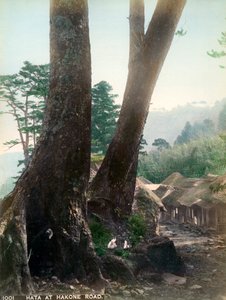 Hata sulla strada di Hakone, Giappone, inizio XX secolo da Unbekannt