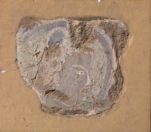 Testa di un