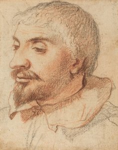 Testa di un uomo, c. 1600 da Unbekannt