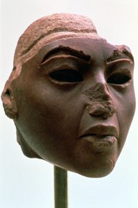 Testa della regina egizia Tiye, c1388-1340 a.C.