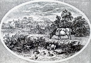 Testata di Thomas Bewick da Unbekannt