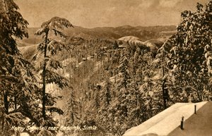 Forte nevicata vicino a Kasumti, Simla, c1918-c1939