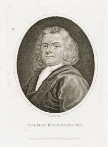 Herman Boerhaave, medico, chimico e botanico olandese, inizio XVIII secolo da Unbekannt