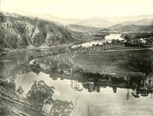 Giardini di luppolo in Tasmania, 1901