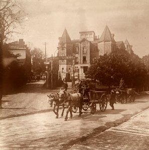 Ambulanza trainata da cavalli, Belgio, c1914-c1918