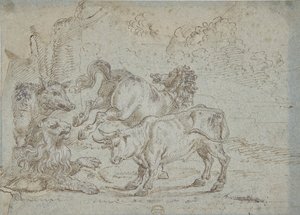 Cavallo, toro, leone e cinghiale, XVII secolo da Unbekannt