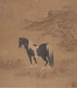 Cavallo e paesaggio