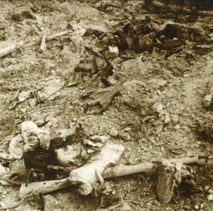 Resti umani, Verdun, Francia settentrionale, c1914-c1918
