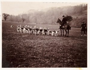 Cacciatore e cani, circa 1905
