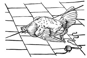 Ipnosi