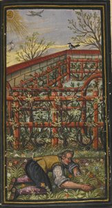 Illustrazione per Il meraviglioso tempo estivo della vita eterna di Jacob Zader, 1603