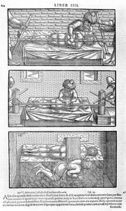 Illustrazione dal Liber canonis de medicinis cordialibus di Avicenna, 1556 da Unbekannt