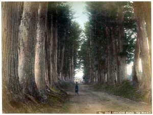 Strada Imaichi a Nikko, Giappone, inizio XX secolo