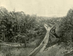 Nelle Blackall Ranges