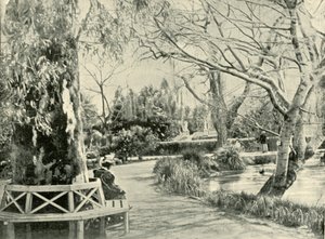 Nei Giardini Botanici, Adelaide da Unbekannt