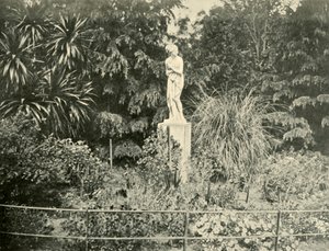Nei Fitzroy Gardens, Melbourne, 1901 da Unbekannt